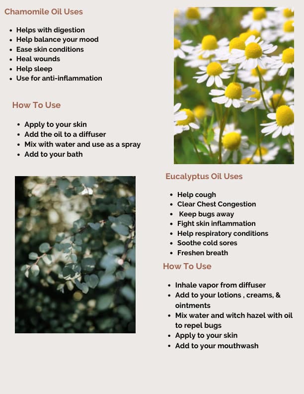 book page 4